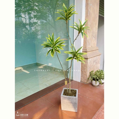 Cây Lá Giả- Cây Thiết Mộc Lan Giả 4 Nhánh Trang Trí Căn Hộ Kiểu Mới (150cm)- LC3736-vàng