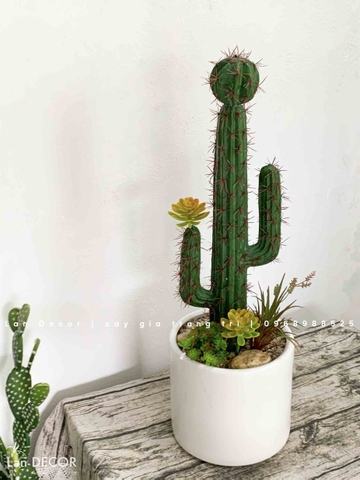 Decor Xương Rồng- Chậu Xương Rồng Trang Trí Phong Cách Sa Mạc (70cm)- CC956