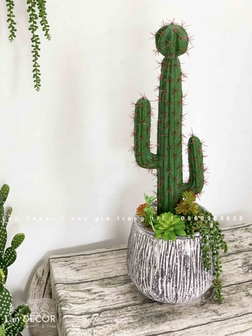 Decor Xương Rồng- Chậu Xương Rồng Trang Trí Phong Cách Sa Mạc (70cm)- CC956