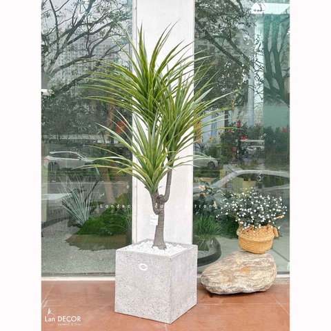Cây Giả- Cây Yucca Giả Thiết Kế Không Gian Xanh (135cm)- LC3357