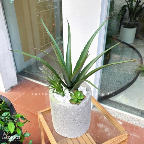 Cây Giả Decor- Cây Yucca Giả Thiết Kế Tiểu Cảnh Độc Đáo (12 lá, 45cm)-LC3464