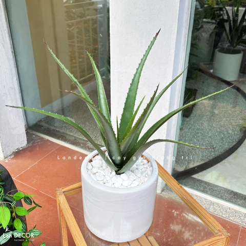 Cây Giả Decor- Cây Yucca Giả Thiết Kế Tiểu Cảnh Độc Đáo (12 lá, 45cm)-LC3464