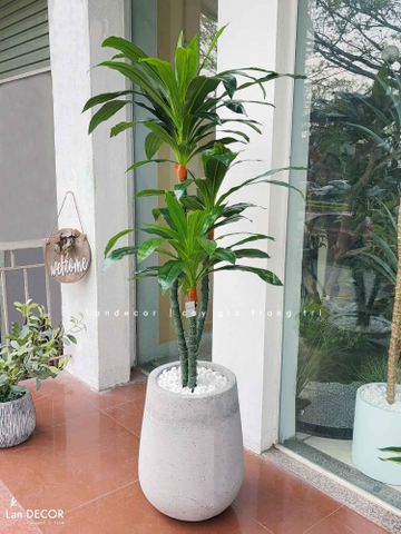Cây Giả Trang Trí- Cây Thiết Mộc Lan Giả Decor Văn Phòng Xanh (125cm)- LC2318