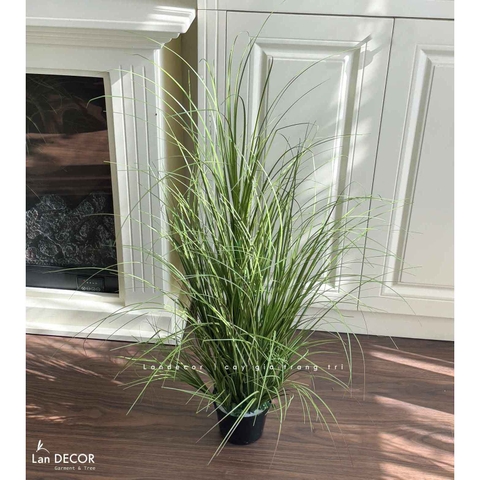 Bụi Cây Tiểu Cảnh- Bụi Cỏ Hành Giả Trang Trí Cửa Hiệu Tạo Điểm Nhấn Xanh (cao 95cm. tán 55cm)- CC1103