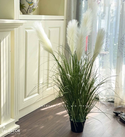 Cỏ Lau Giả-Chậu Cỏ Lau Trắng Decor Không Gian Xinh (cao 110cm, tán 55cm)- CC1101