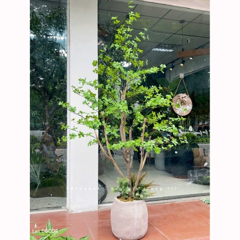 Cây Cảnh Giả- Cây Thạch Nam Giả Trang Trí Tiểu Cảnh  (190cm)- CC1369