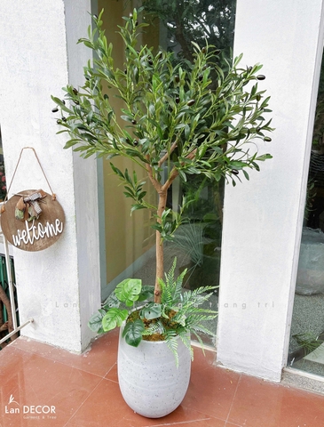 Cây Oliu Giả Decor- Cây Olive Giả Thiết Kế Tiểu Cảnh Xanh Quanh Năm (140cm)- CC1381