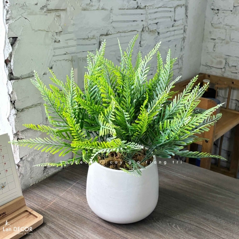 Cây Giả Trang Trí- Chậu Cây Dương Xỉ Giả Trang Trí Để Bàn Tự Nhiên (45cm)- CC1463