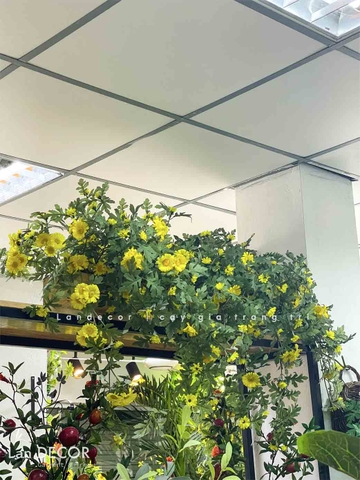 [DÀI 120CM] BỒN HOA DÃ QUỲ TRANG TRÍ TIỂU CẢNH - BC091
