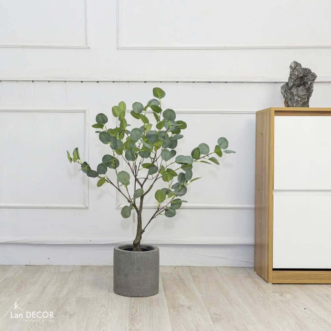 Cây bạch đàn lá tròn phong cách Bắc âu LanDecor (85cm) - LC3049