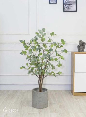 Cây kim tiền lá tròn phong cách Bắc Âu đẹp 120cm - LC3000
