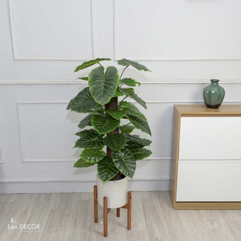 CÂY TRẦU BÀ CỘT (95cm) - LC2054-1