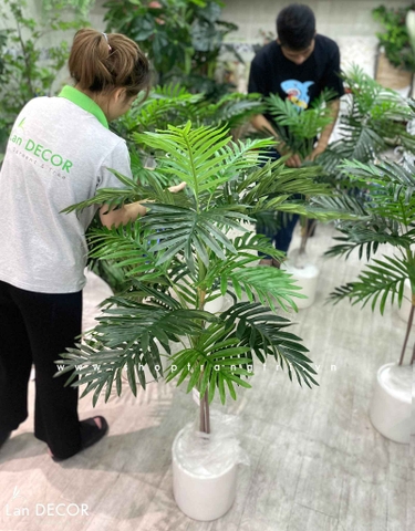 Cây dừa cảnh hiện đại trang trí nhà đẹp LanDecor (115cm) - LC2959