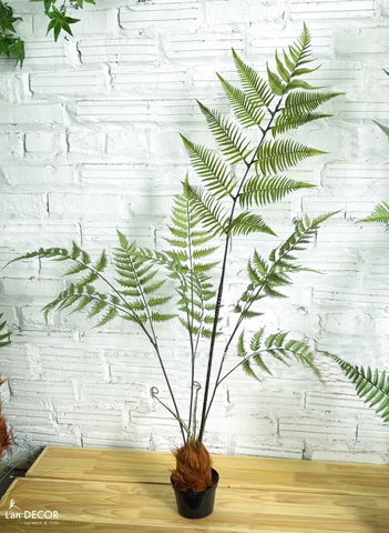 Cành Lá Giả Decor- Cành Dương Xỉ Thiết Kế Tiểu Cảnh Dương Xỉ Culi Độc Đáo (3 nhánh, 80cm)- HC1222