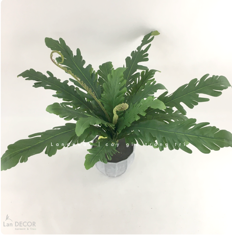 Cành dương xỉ tổ yến trang trí LanDecor (50cm) - HC1118
