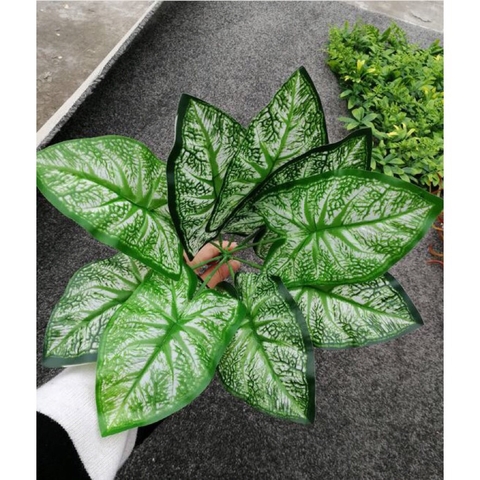 Cành lá giả- Cành Lá Giả Trang Trí, Cành Lá Môn Thiết Kế Tiểu Cảnh- HC091