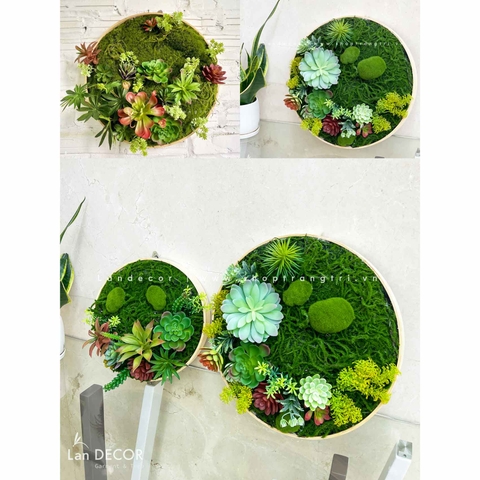 KHUNG TRANH RÊU SEN ĐÁ TRANG TRÍ HIỆN ĐẠI- KTR004.(D=40)