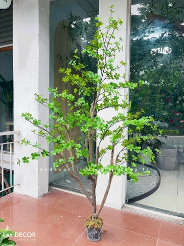Cây Cảnh Giả- Cây Thạch Nam Giả Trang Trí Tiểu Cảnh  (190cm)- CC1369