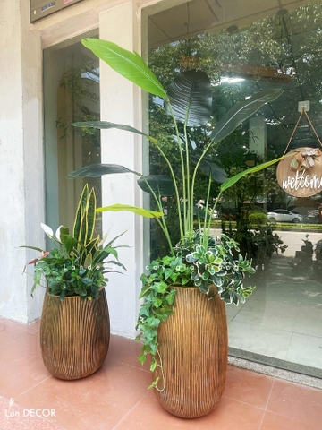 Cây Giả Trang Trí - Chậu Cây Chuối Giả Tiểu Cảnh Trang Trí Xanh Mát (195cm)- CC1342