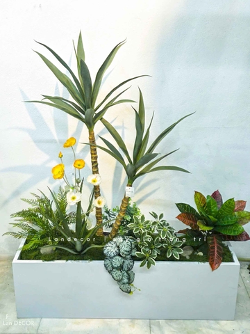 Bồn Cây Trang Trí - Bồn Tiểu Cảnh Cây Yucca Trang Trí Độc Đáo (110x45x130cm)- BC304
