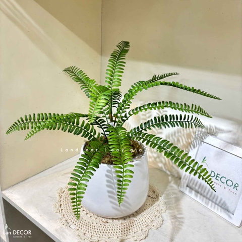 Cây Giả Để Bàn - Chậu Cây Dương Xỉ Gỉa Decor Kệ Tủ Xanh (45cm) - CC1481