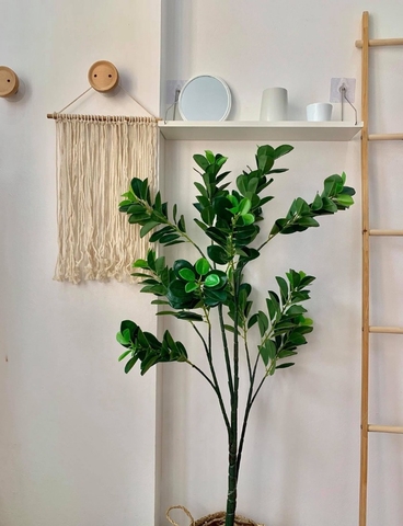 Cây lá tiền trang trí không gian hiện đại xanh mát Lan Decor (135cm) - LC5581