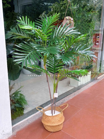Cây dừa cảnh hiện đại trang trí nhà đẹp LanDecor (115cm) - LC2959