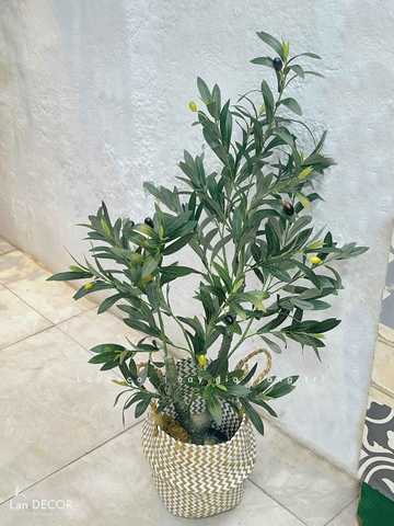 Cây Cảnh Giả- Cây Olive Giả Trang Trí Căn Hộ Hiện Đại (100cm)- CC1287