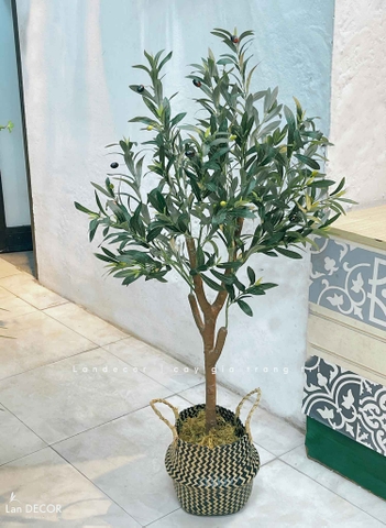Cây Giả- Cây Olive Giả Thiết Kế Lan Decor (130cm)- CC1286