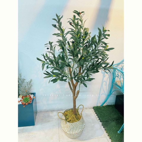 Cây Giả- Cây Olive Giả Thiết Kế Lan Decor (130cm)- CC1286