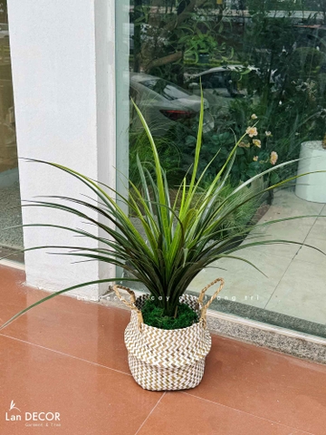Cây Giả Decor - Cây Yucca Giả Trang Trí Nội Thất (80cm)- LC3348