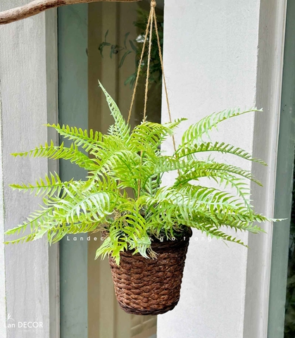Giỏ Cây Treo Tường - Giỏ Dương Xỉ Treo Thiết Kế Không Gian Xanh (45cm)- CC1315