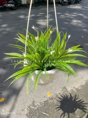 Giỏ Cây Treo Tường - Giỏ Lan Trắng Giả Trang Trí Tiểu Cảnh Xanh (45cm)- CC1313