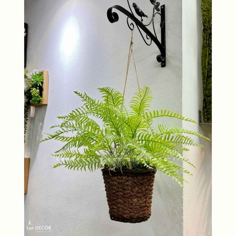 Giỏ Cây Treo Tường - Giỏ Dương Xỉ Treo Thiết Kế Không Gian Xanh (45cm)- CC1315