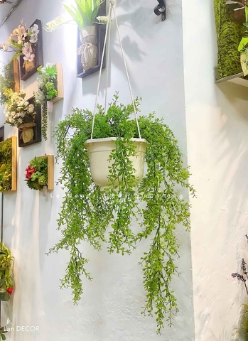 Giỏ Cây Treo Rủ- Giỏ Rủ Tim Treo Trang Trí - CC1316