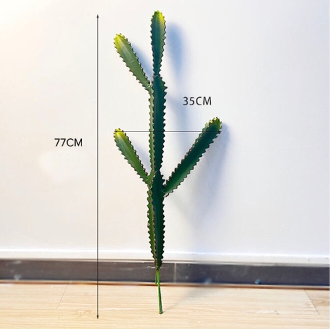 CÀNH XƯƠNG RỒNG TRỤ SAN HÔ  - HC1146