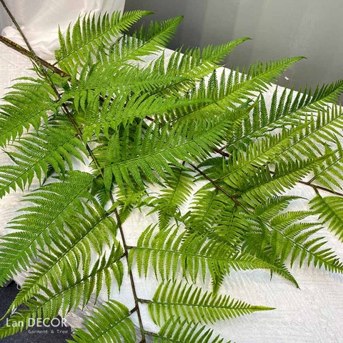 CÀNH DƯƠNG XỈ XANH TRANG TRÍ NHÀ CỬA- HC1201