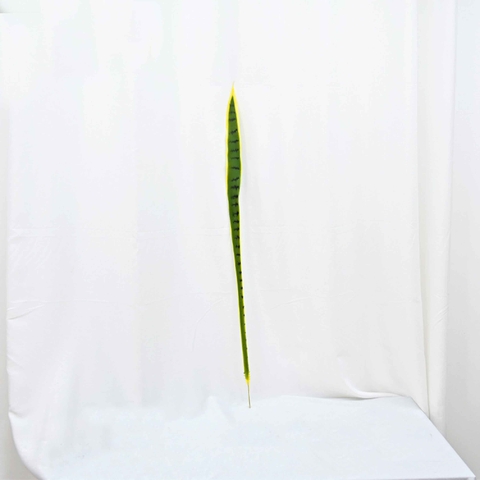 CÀNH LƯỠI HỔ TRANG TRÍ (92cm)- HC1205