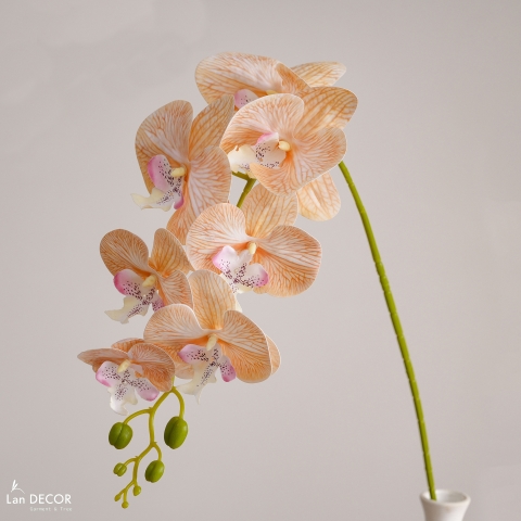 Cành Hoa Giả - Cành Lan Hồ Điệp Giả Cắm Bình Decor Căn Hộ (78cm, 7 bông)- HC1486