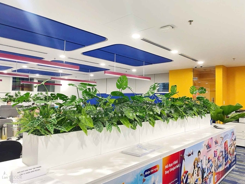 Tiểu Cảnh Văn phòng- Bồn Cành Lá Monstera Thiết Kế Lan Decor, Kiến Tạo Không Gian Xanh Tươi Mới (56x26x20cm)- BC209-SG