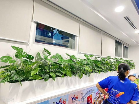 Tiểu Cảnh Văn phòng- Bồn Cành Lá Monstera Thiết Kế Lan Decor, Kiến Tạo Không Gian Xanh Tươi Mới (56x26x20cm)- BC209-SG