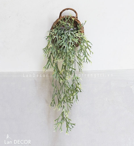 Giỏ dương xỉ sừng hươu treo tường trang trí Lan Decor - CC292