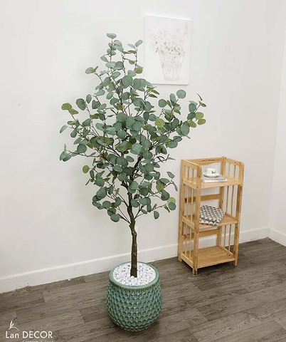Cây bạch đàn trang trí nhà, quán cafe đẹp LanDecor (165cm) - LC3051