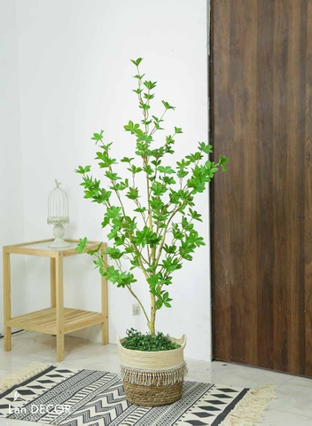 CÂY THẠCH NAM NHẬT BẢN TRANG TRÍ NHÀ LAN DECOR (125CM) - LC3034