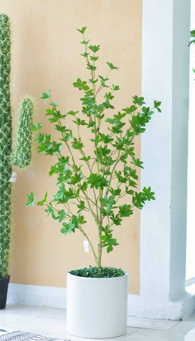 CÂY THẠCH NAM NHẬT BẢN TRANG TRÍ NHÀ LAN DECOR (125CM) - LC3034