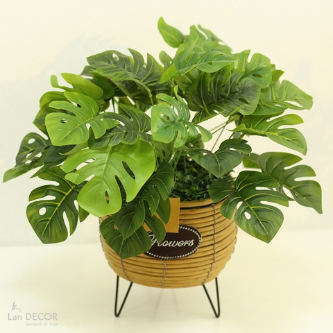 Giỏ mây trầu bà lá khía trang trí Landecor - CC363