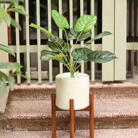 KG100 - KỆ TRỤ GỖ ĐỠ CÂY (22 CM)