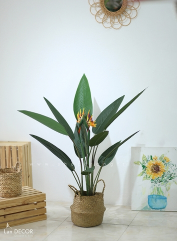 Cây chuối thiên điểu trang trí nội thất LanDecor (115cm) - LC3179 mix