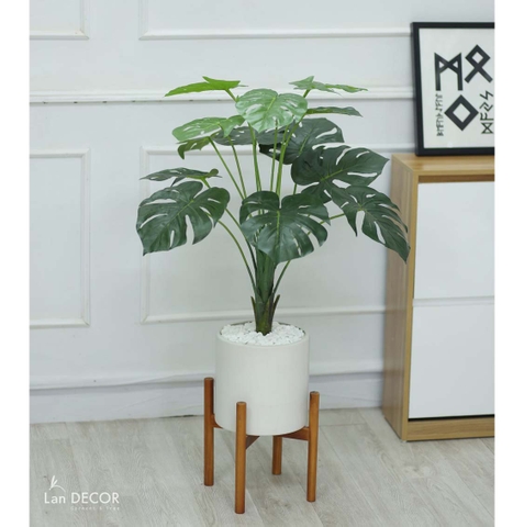 Cây lá rùa trang trí tiểu cảnh LanDecor 100cm - LC2475-1.2 mix