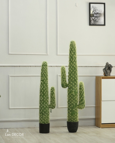 CÂY XƯƠNG RỒNG GIẢ PHONG CÁCH SA MẠC LOẠI 1 TAY (100cm) - LC3027